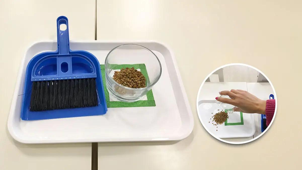 Метла и лопатка със семена в чаша