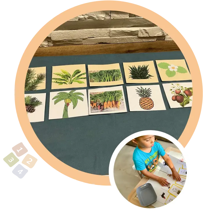 Карти за игра подредени на маса, показващи различни растения и плодове