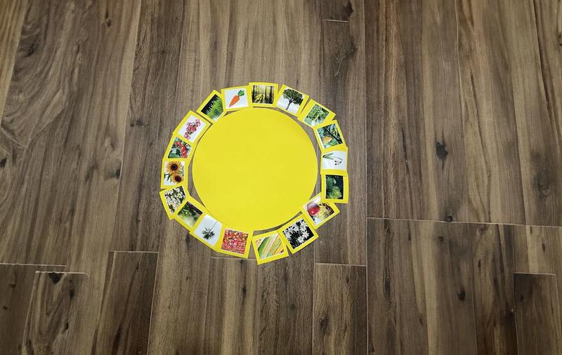 single exercise image