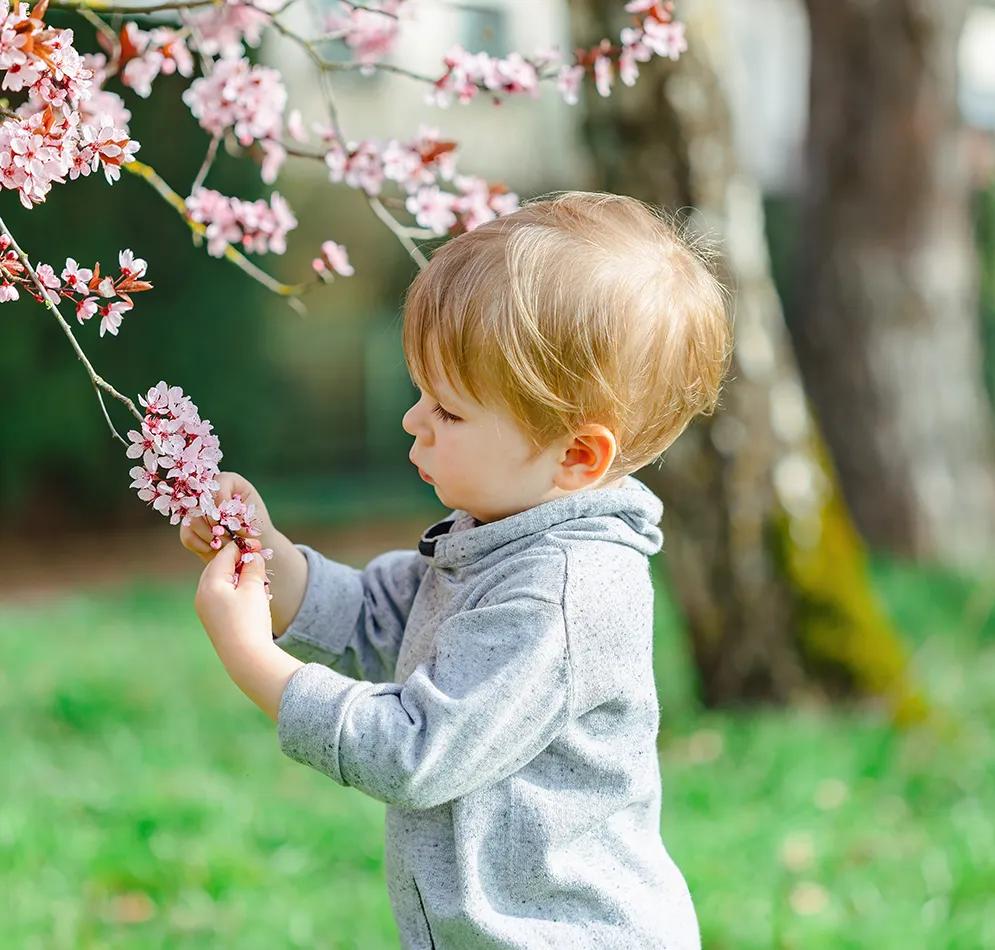 малко дете разглежда цветя през пролетта монтесори занимания навън