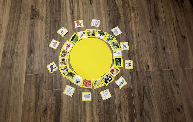 single exercise image