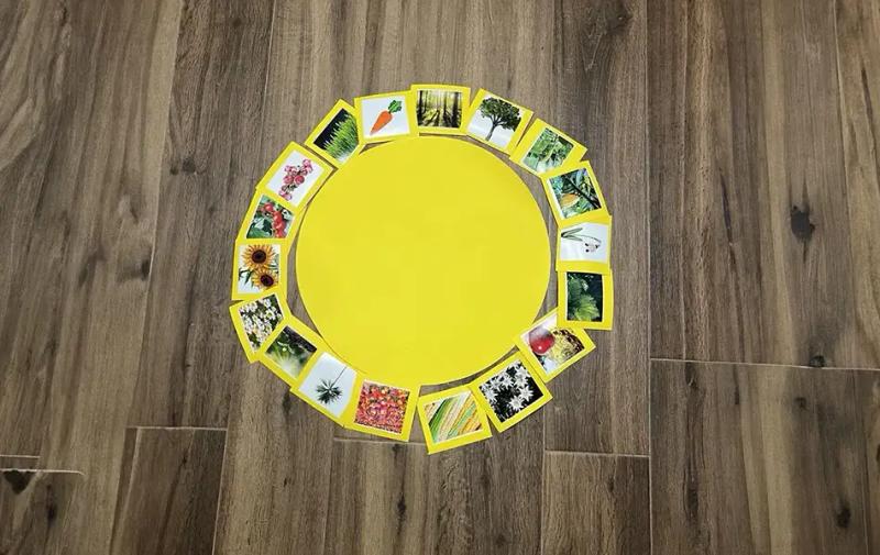 single exercise image