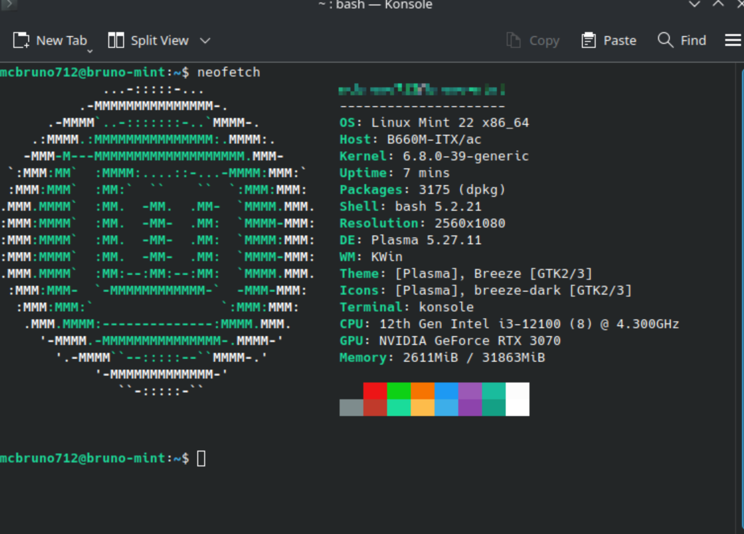 Linux Mint
