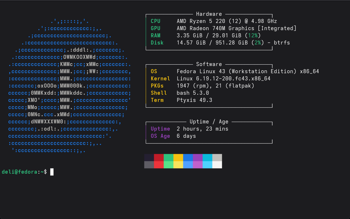 Fastfetch output on Fedora KDE