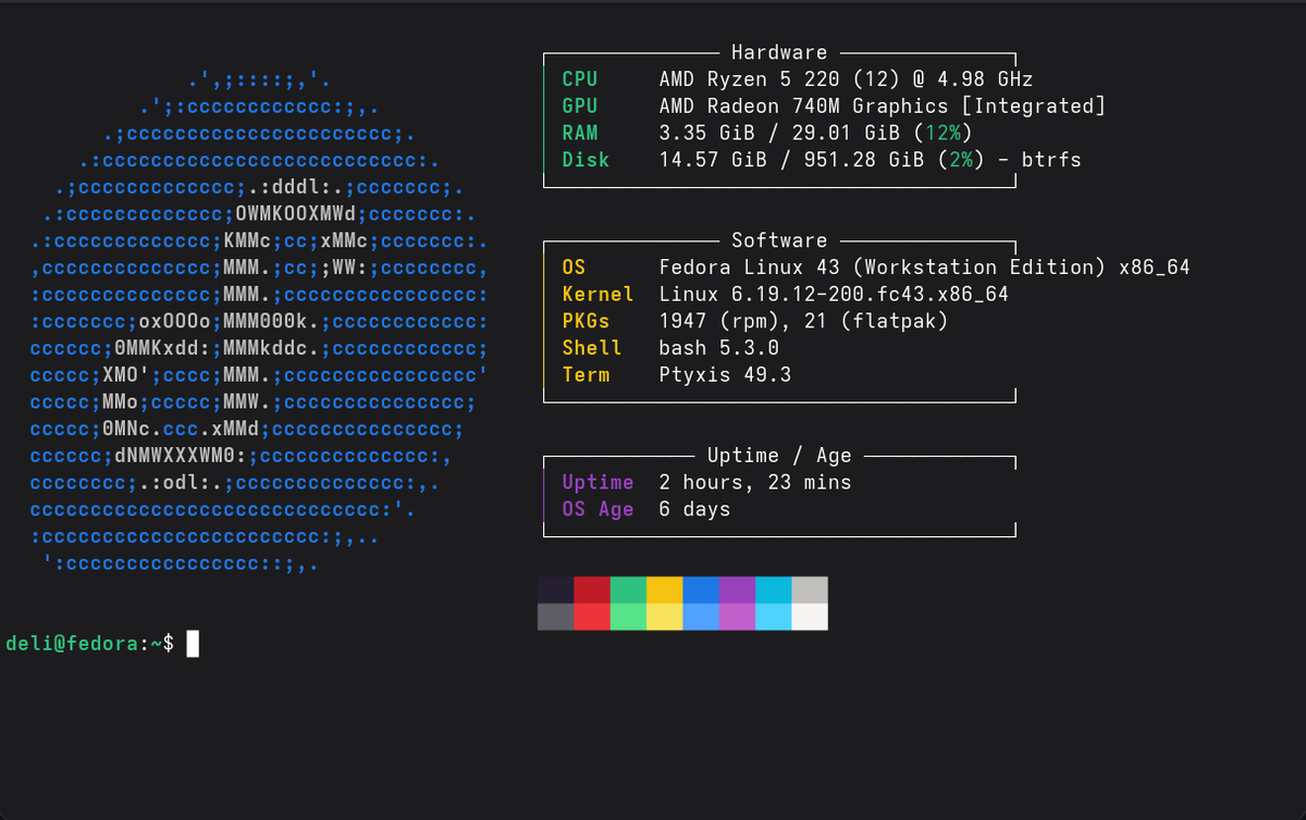 Fastfetch output on Fedora KDE