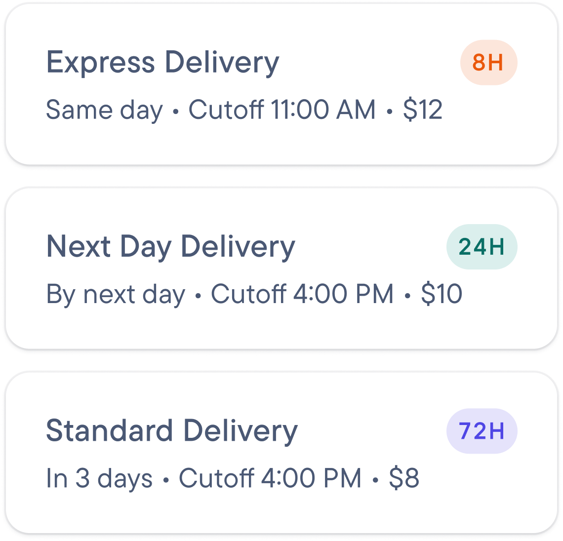 Screenshot of three delivery options: Express (same day, cutoff 11 AM, $12), Next Day (by next day, cutoff 4 PM, $10), and Standard (in 3 days, cutoff 4 PM, $8).