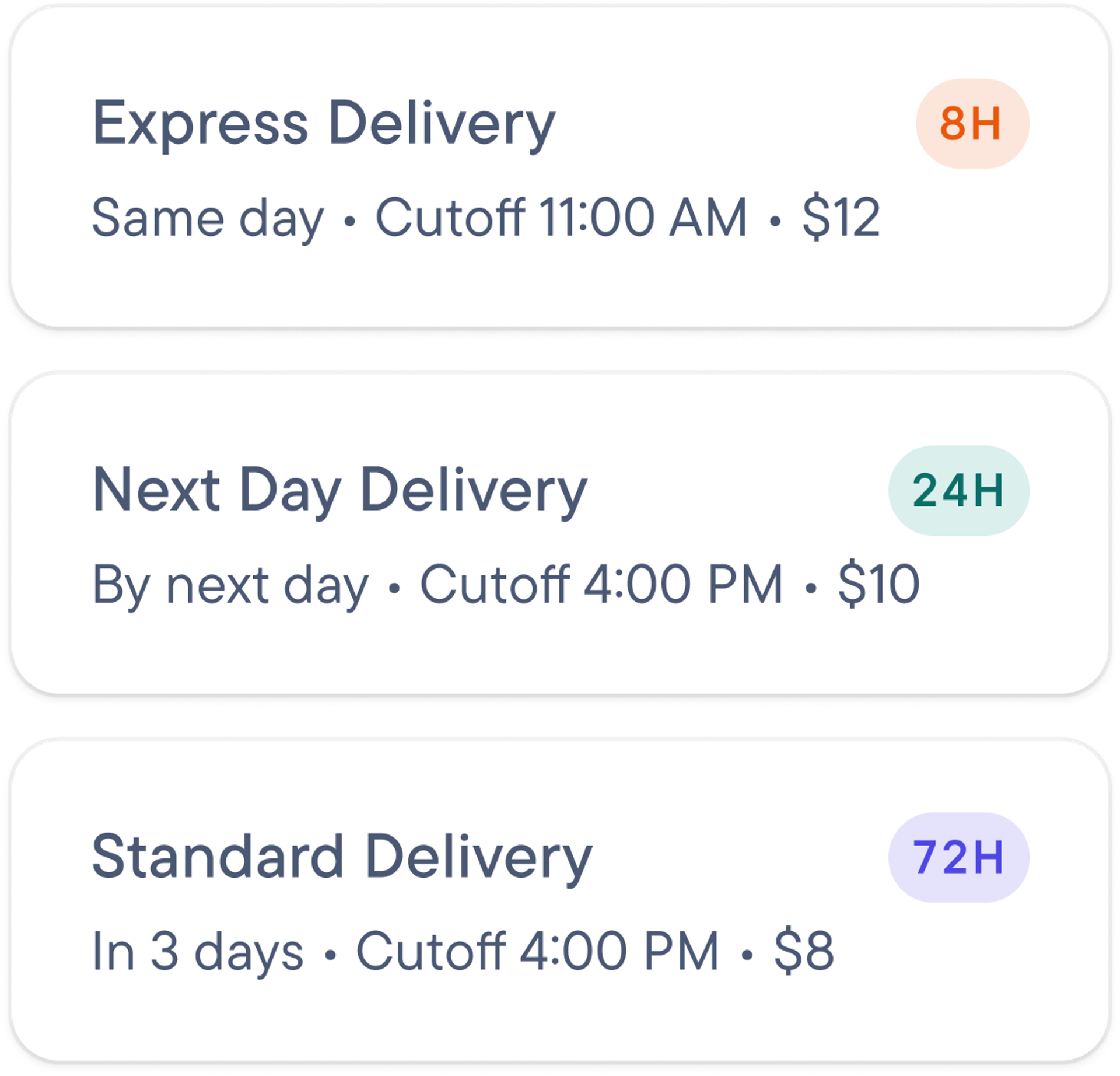 Screenshot of three delivery options: Express (same day, cutoff 11 AM, $12), Next Day (by next day, cutoff 4 PM, $10), and Standard (in 3 days, cutoff 4 PM, $8).