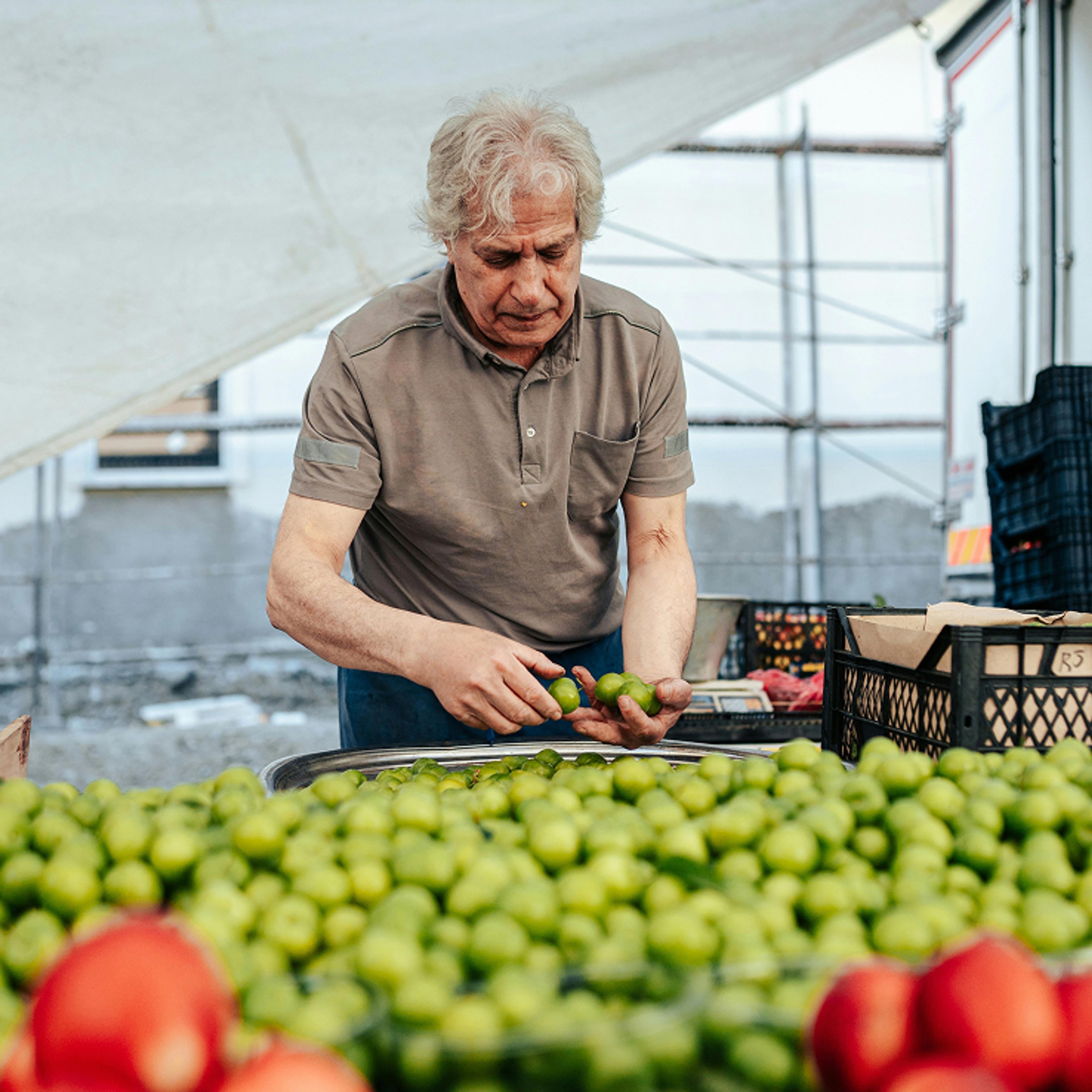 An older man sorts green plums at a market stall filled with fruit.