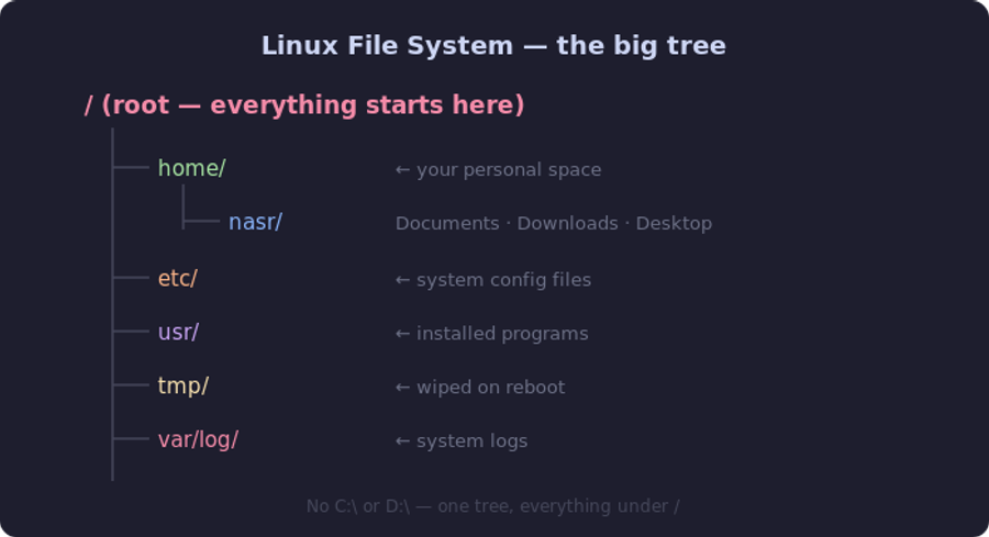 Linux file system directory tree