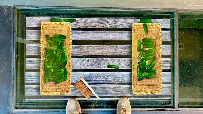 Lokale KI: Warum dein nächstes Sprachmodell auf deinem eigenen Rechner laufen sollte