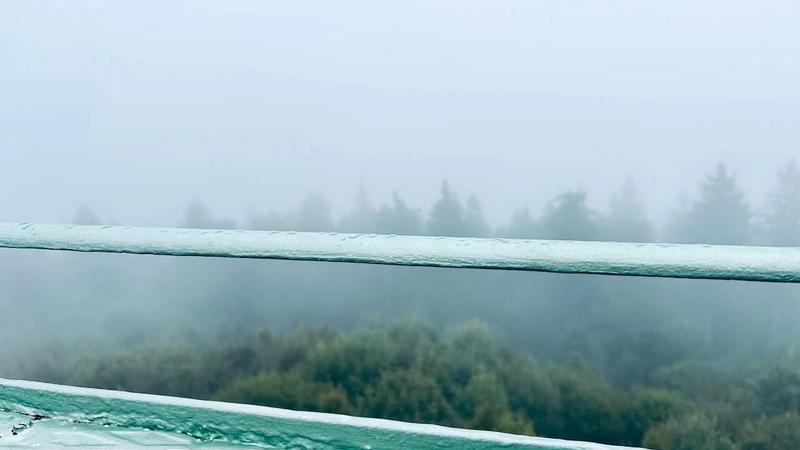 Das große KI-Bullshit-Bingo: Wie Maschinen unsere Sprache verseuchen