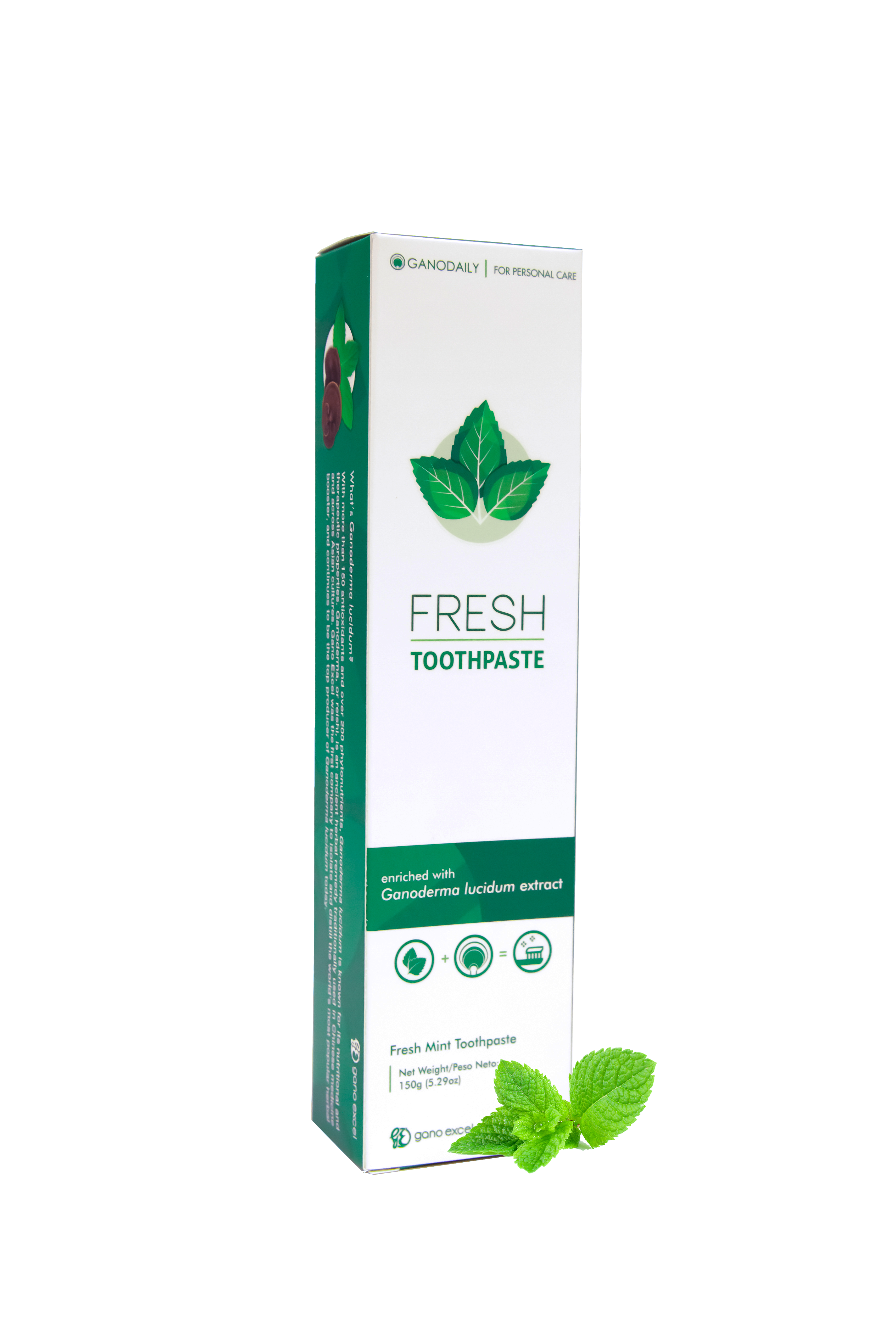 Fresh Toothpaste