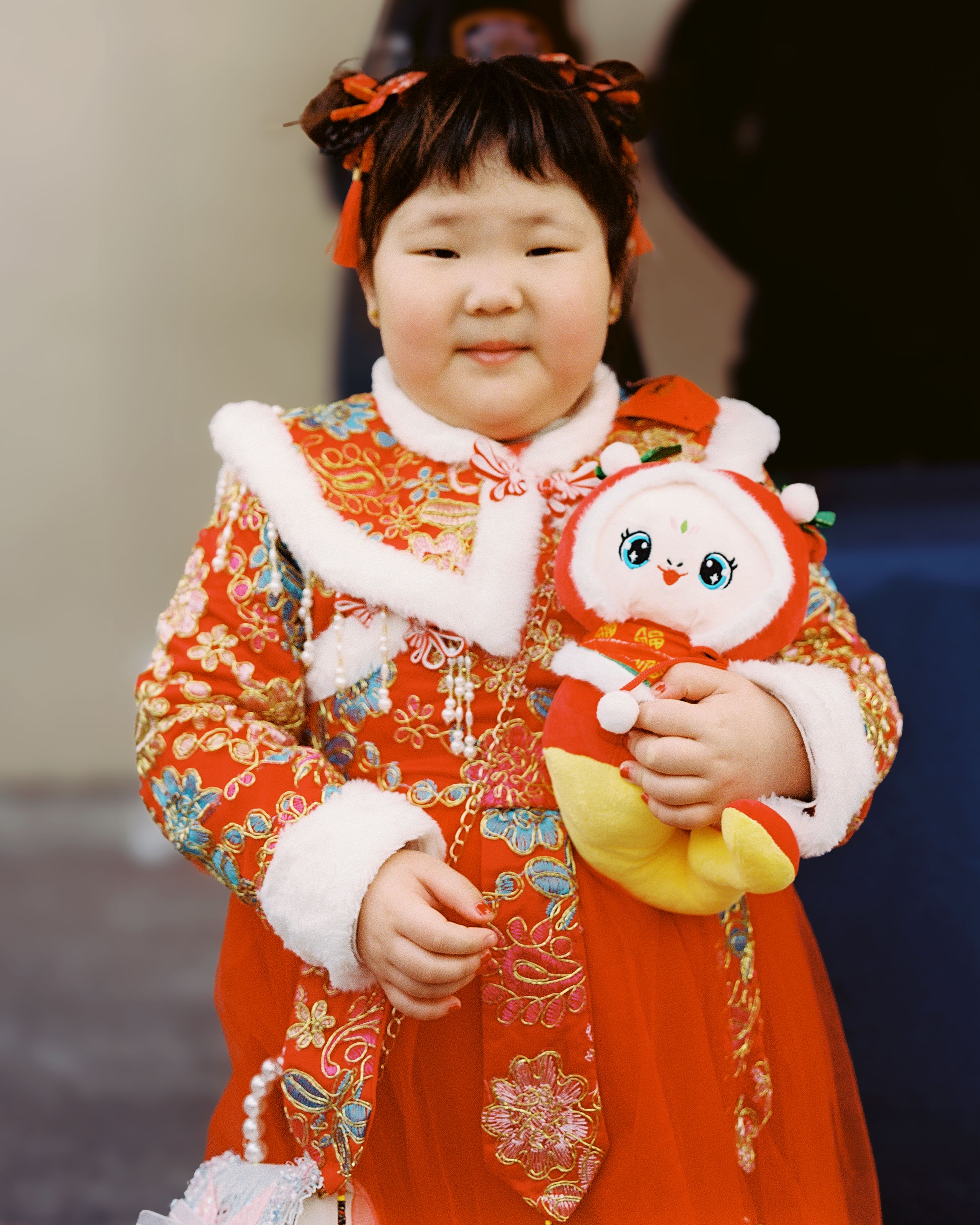 Year of the Snake