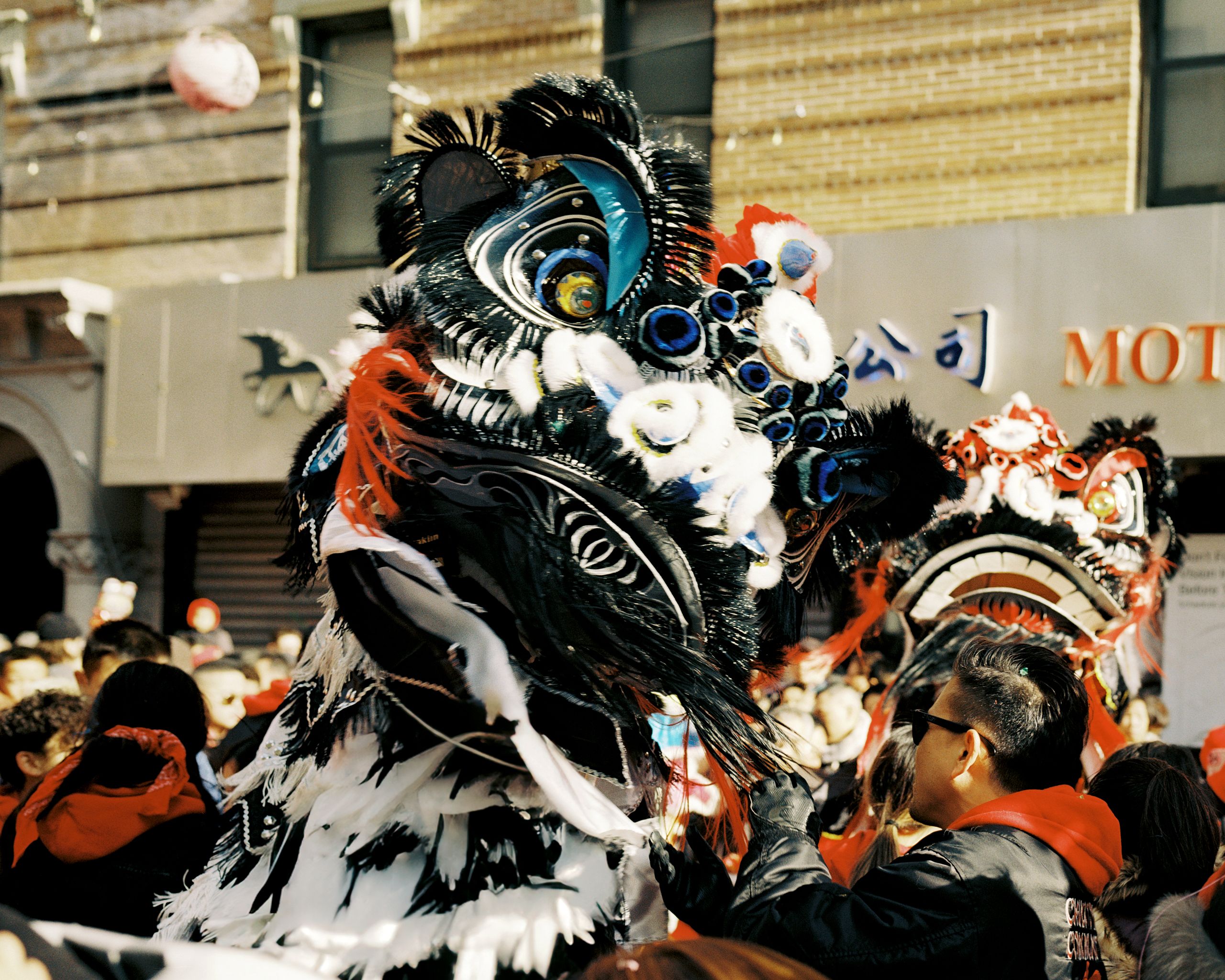 Black, white and gold lion dance heads in procession past a storefront
