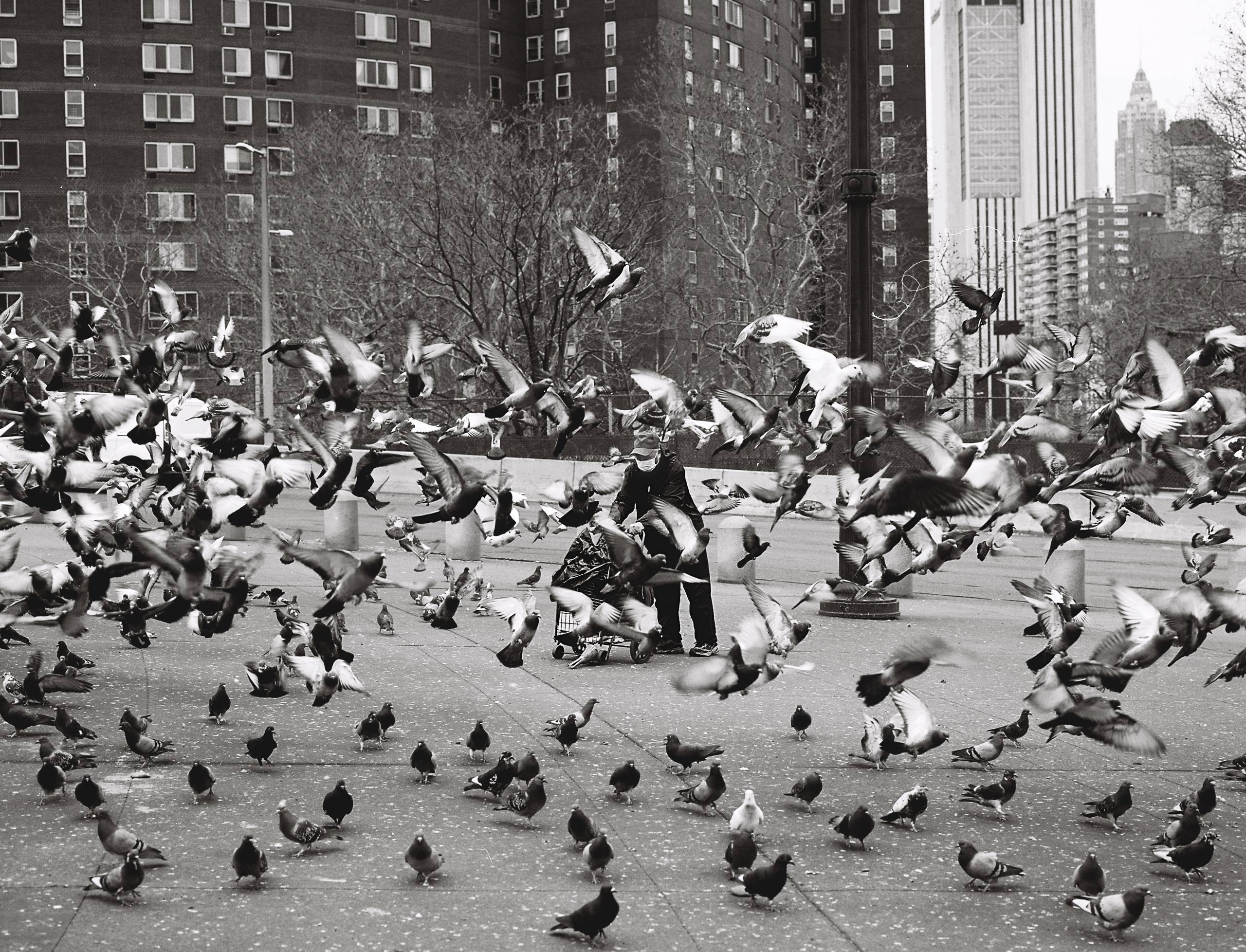 A black-and-white shot in NYC's Chinatown of a man feeding pigeons amid a flurry of birds, captured on Kodak Portra 400 film.