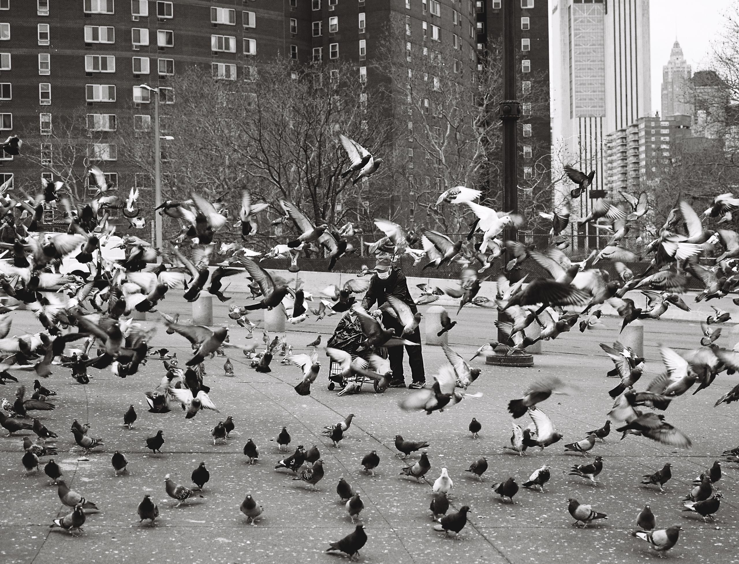 A black-and-white shot in NYC's Chinatown of a man feeding pigeons amid a flurry of birds, captured on Kodak Portra 400 film.