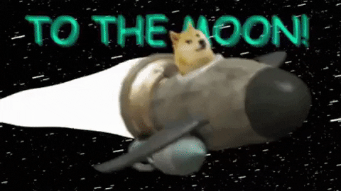 Ogak8XuKHLs6PYcqlp.gif