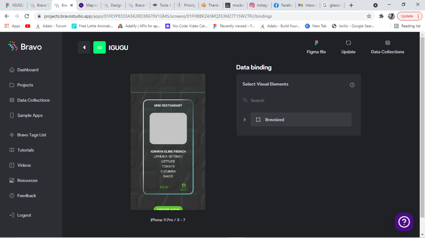website preveiw.png