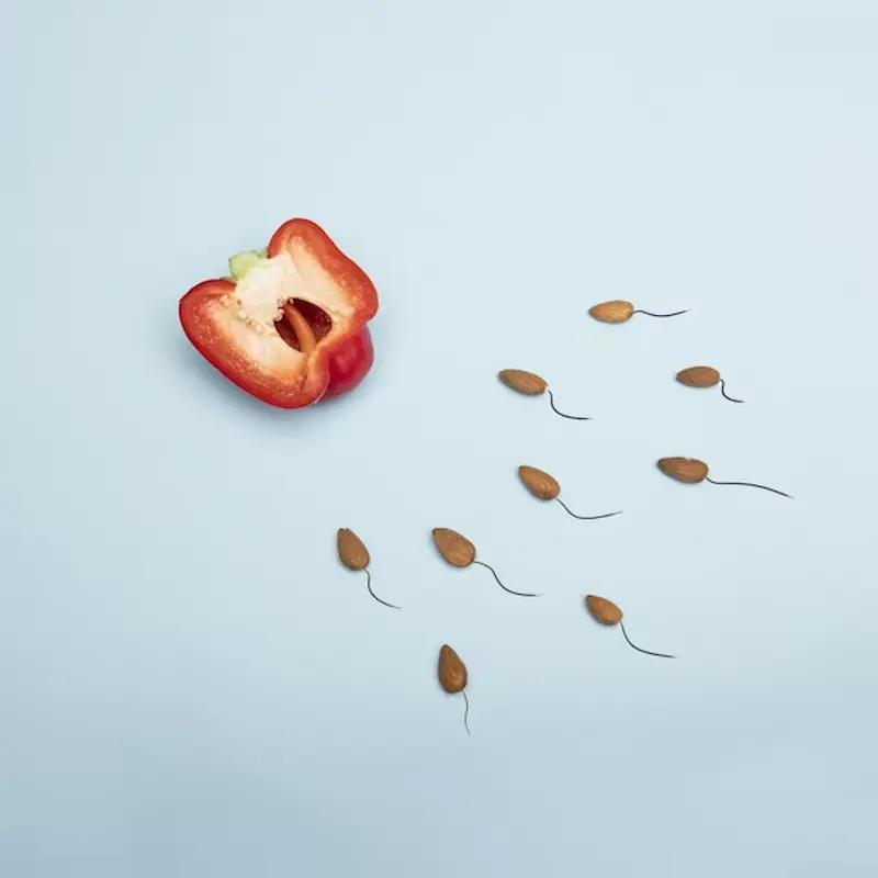 Research Advances on the Effect of Microplastics on Sperm Count