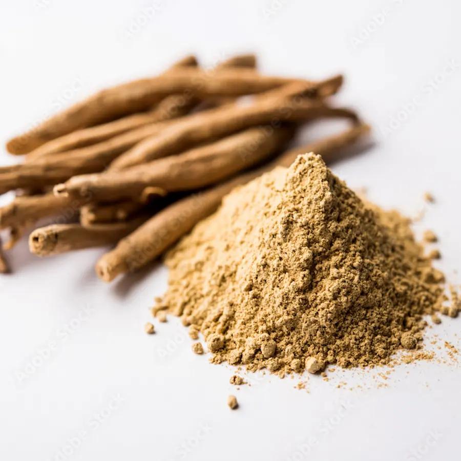 New Study Reveals the Efficacy of Ashwagandha Root in Improving Male Sexual Health