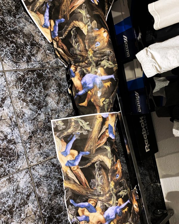 GOYA CAMO DEVELOPMENT