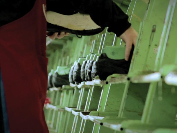 N9000 TORO ITALY PRODUCTION