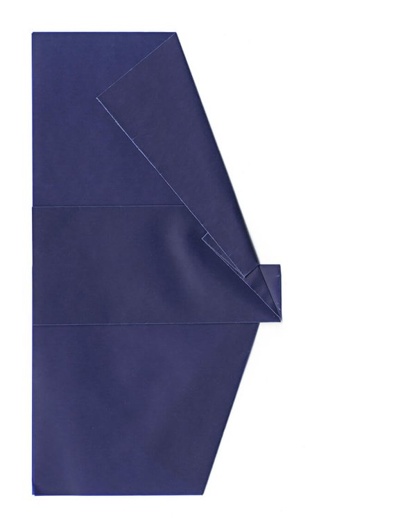 SS10 PLEATS STUDY