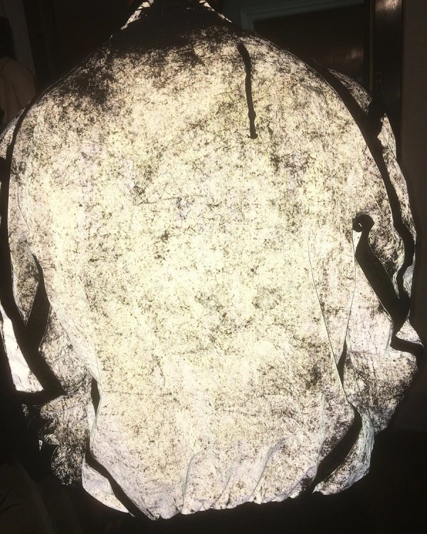 SS18 REFLECTIVE TREATMENT DEVELOPMENT
