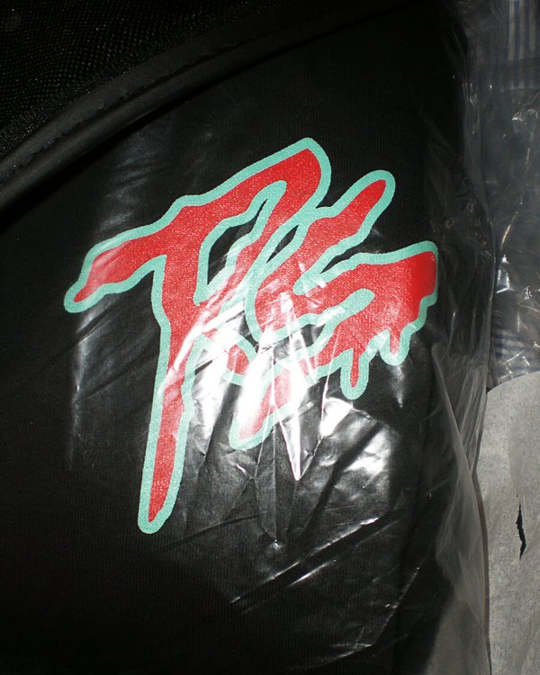 TERROR SQUAD LOGO