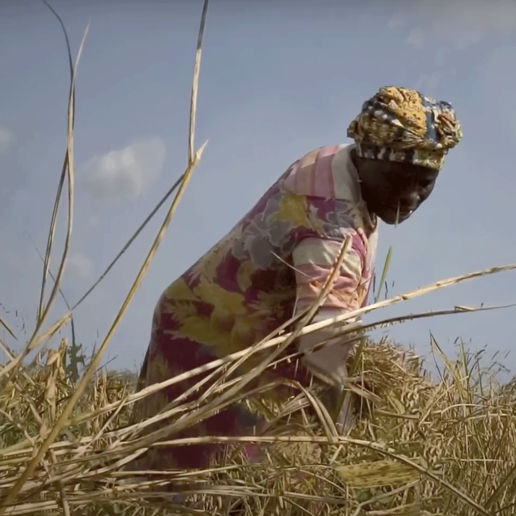 A still frame of the Global Witness video project