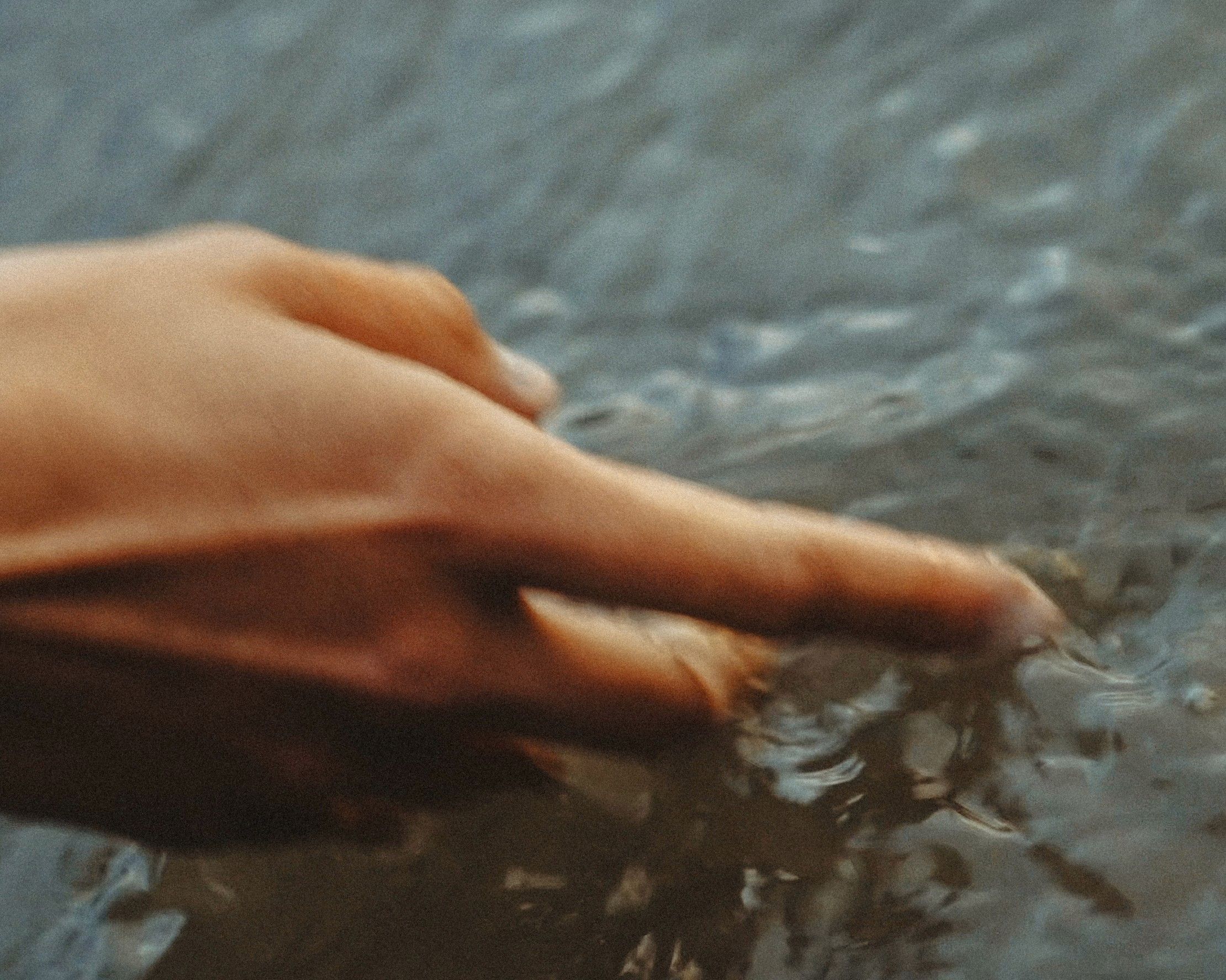 sarah posch — image 3