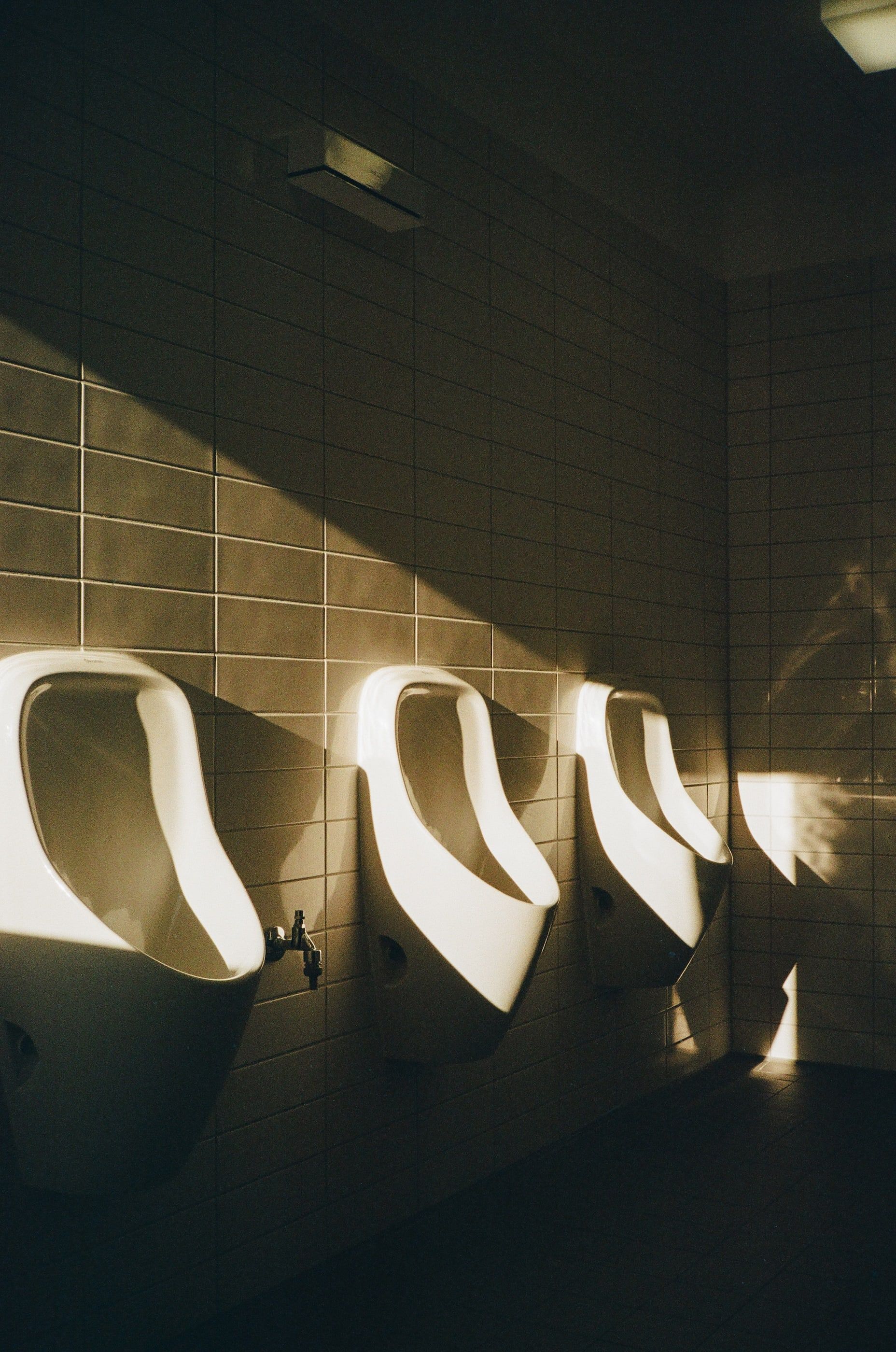 journal frame 8 by jakob lauber