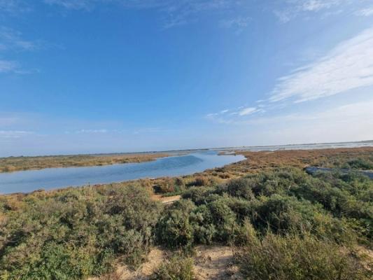 Huelva -Santa Cruz de Tenerife