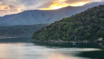 Wellington -Picton