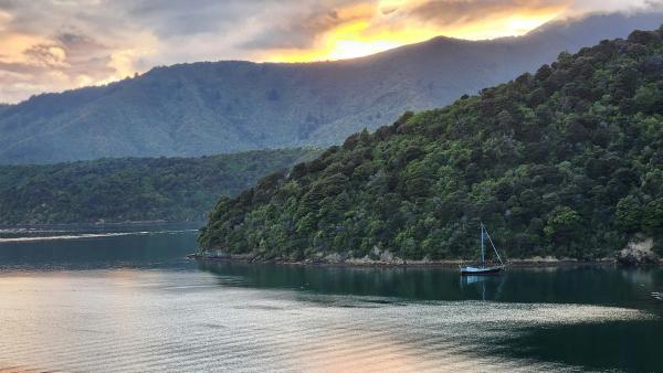 Wellington -Picton