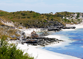 Perth-Rottnest Island