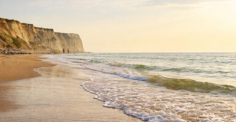 아이리시 페리 - 칼레에서 도버까지 2일 단기 여행 (왕복 94유로부터)