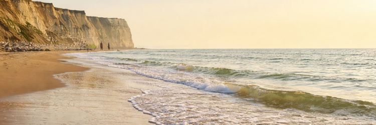 아이리시 페리 - 칼레에서 도버까지 2일 단기 여행 (왕복 94유로부터)