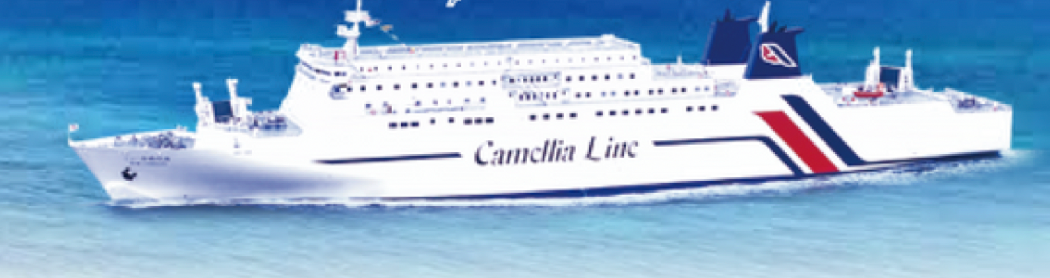 New Camellia Ferry