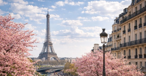Ferries to France – Spring blossom trips and ferry crossings from the UK