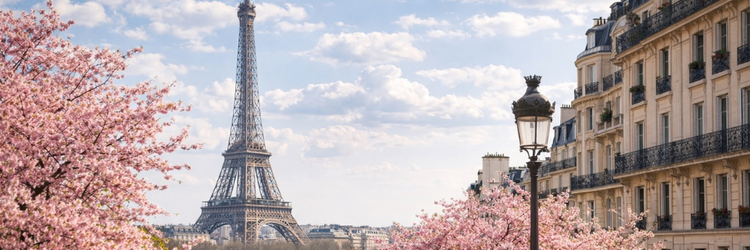 Ferries to France – Spring blossom trips and ferry crossings from the UK