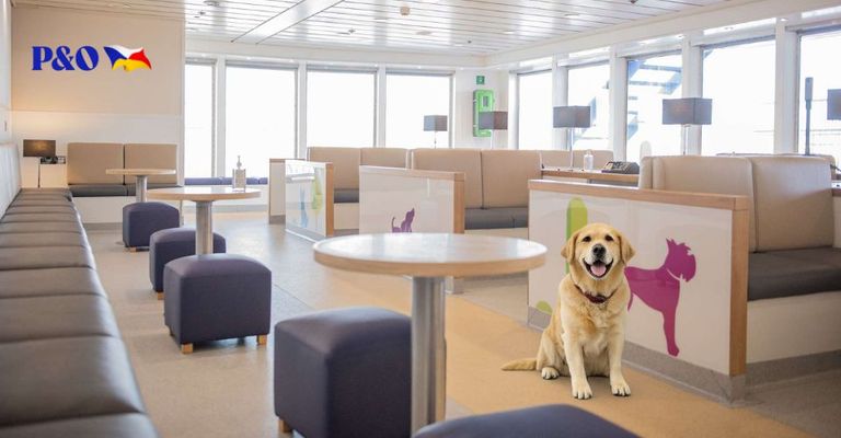 P&O Ferries – New Pet Lounge Now Open on Calais Dover ferry route