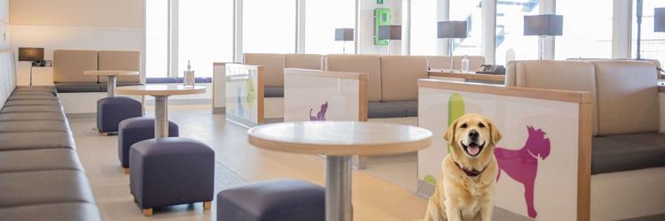 P&O Ferries – New Pet Lounge Now Open on Calais Dover ferry route