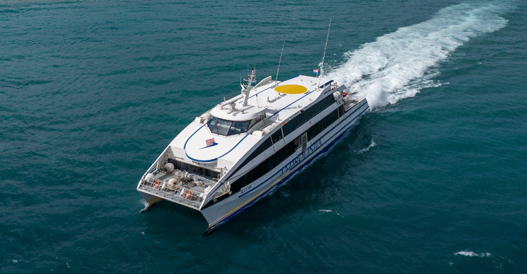 Jelena Ferry