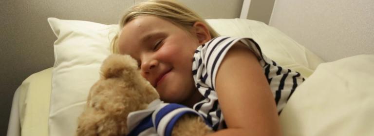 Buitenhut met 2 slaapplaatsen en toegang tot het terrein