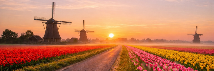 Stena Line Fähre: 15 % Rabatt auf Economy-Tarife auf der Strecke Harwich-Hook of Holland