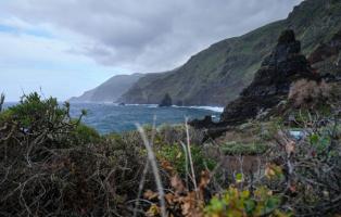 Santa Cruz de Tenerife - La Palma
