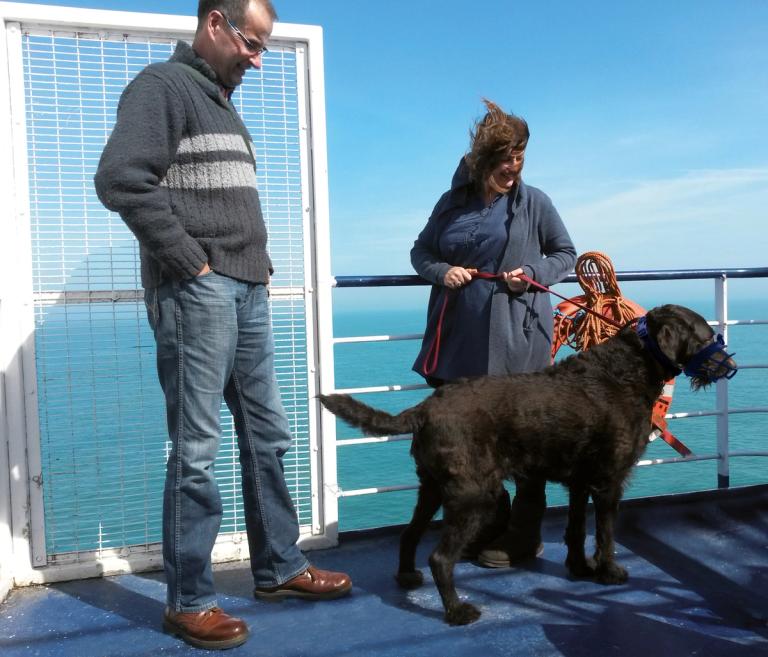 Aire de jeux pour chiens