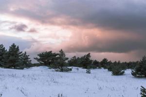 Nynashamn - Ventspils