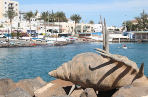 Santa Cruz de Tenerife - Puerto del Rosario